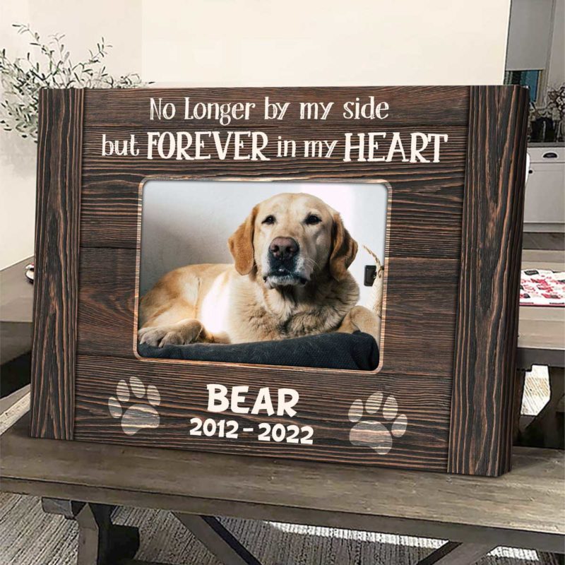 Personalised Pet Memorial Gifts, Custom Pet Memorial Photo Canvas, Pet Bereavement Gift, Pet Sympathy Gift, Gift For Pet Loss 1 Personalized Photo Pet Sympathy Gift, Pet Loss Frame, Dog Memorial Canvas, Pet Loss Gift