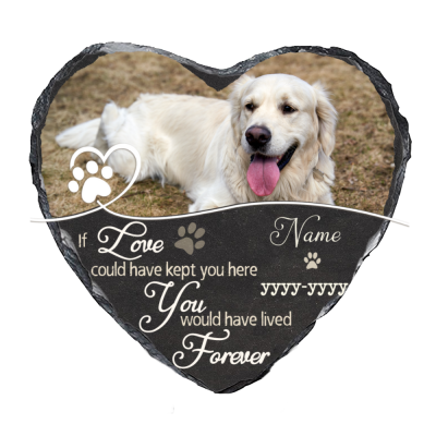 Personalized Pet Memorial Stone with Photo, Custom You Would Have Lived Forever Stone, Sympathy Gift For Loss Of Dog