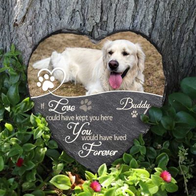 Personalized Pet Memorial Stone with Photo, Custom You Would Have Lived Forever Stone, Sympathy Gift For Loss Of Dog