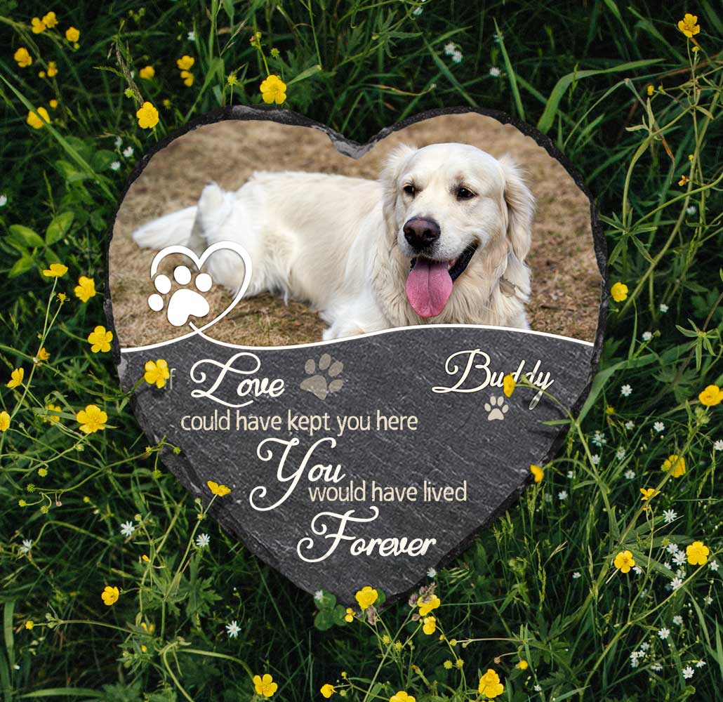 Personalized Pet Memorial Stone with Photo, Custom You Would Have Lived Forever Stone, Sympathy Gift For Loss Of Dog