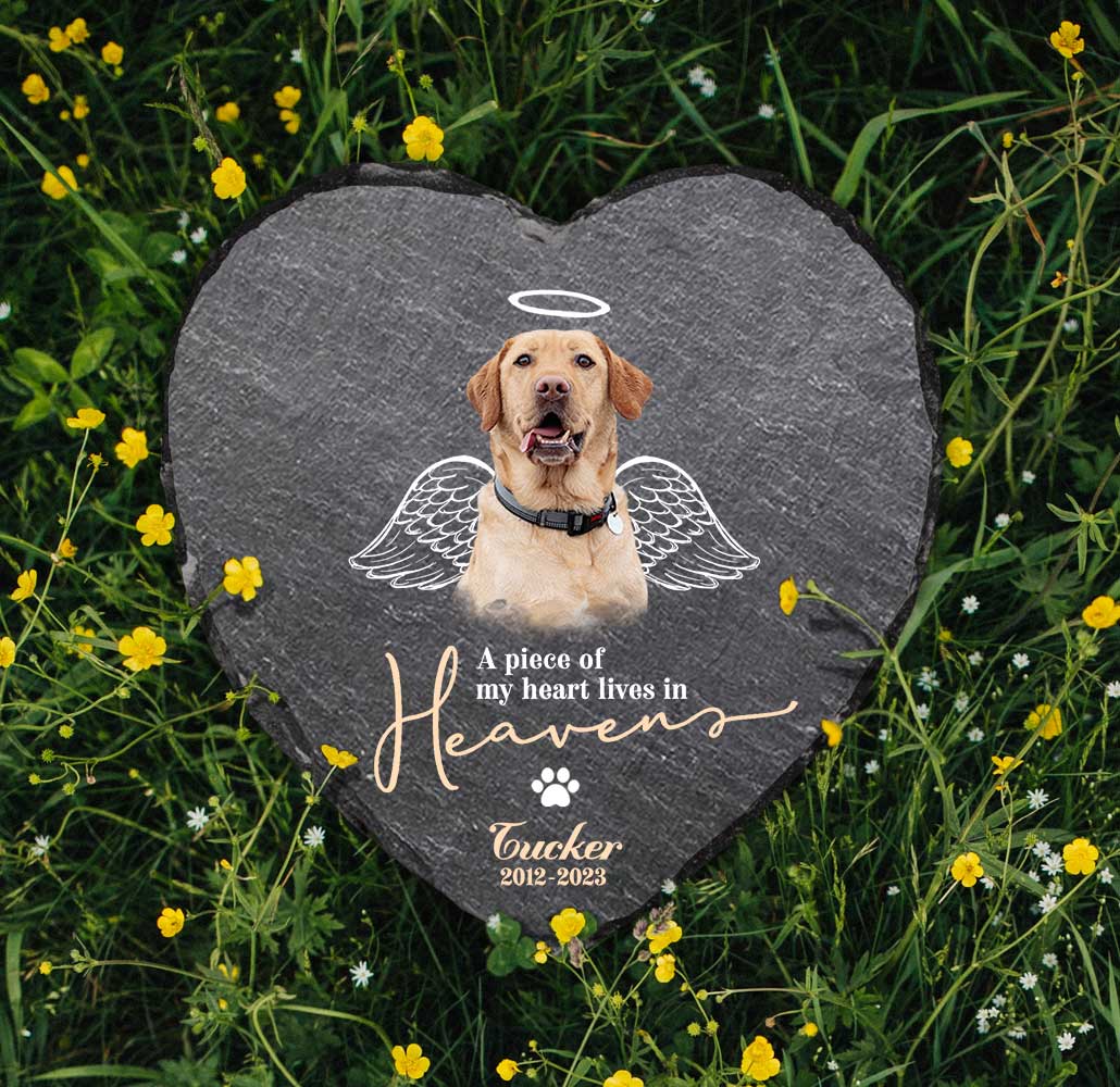 Personalized Pet Photo with Angel Wings Stone, Custom Dog Memorial Stone, Dog Remembrance Gifts 1 Personalized Pet Photo with Angel Wings Stone, Custom Dog Memorial Stone, Dog Remembrance Gifts