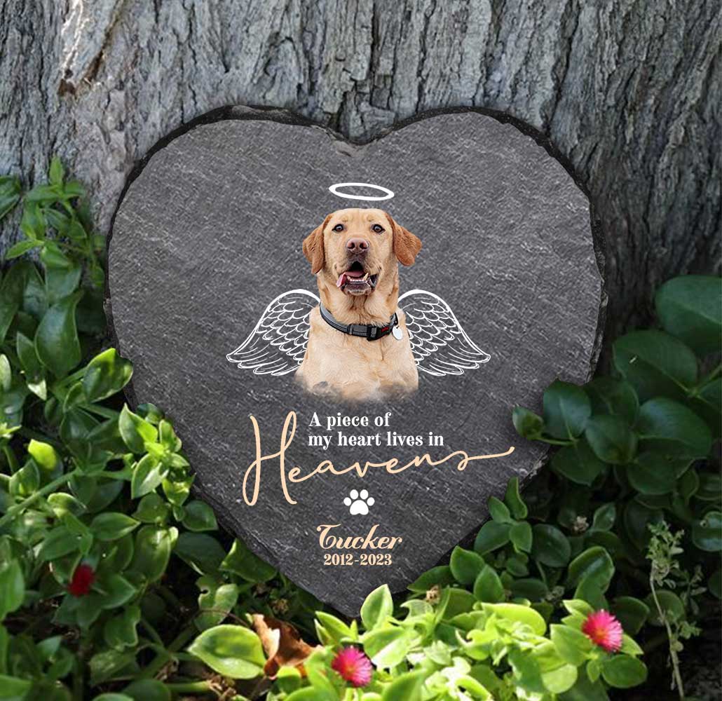 Pet Memorial Stone - 5 Best Pet Grave Marker Ideas 22 Personalized Pet Photo with Angel Wings Stone, Custom Dog Memorial Stone, Dog Remembrance Gifts