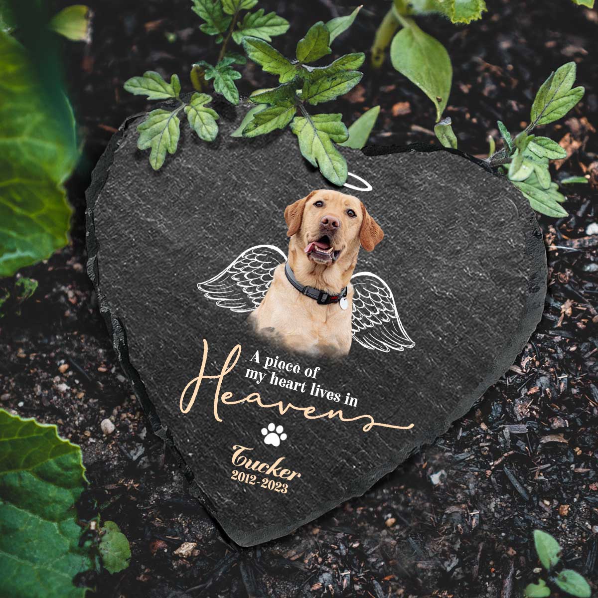 Pet Memorial Stone - 5 Best Pet Grave Marker Ideas 13 Personalized Pet Photo with Angel Wings Stone, Custom Dog Memorial Stone, Dog Remembrance Gifts