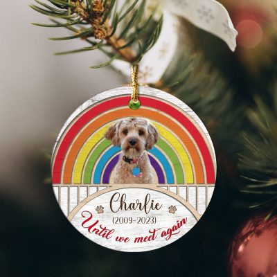 rainbow bridge pet portrait personalized ceramic ornament loss of pet gifts until we meet again ornament