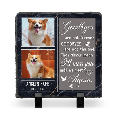 Personalized Pet Memorial Photo Stones, Dog Memorial Gifts For Garden, Until We Meet Again Pet Fur Keepsake