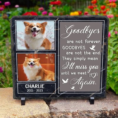 Personalized Pet Memorial Photo Stones, Dog Memorial Gifts For Garden, Pet Fur Keepsake