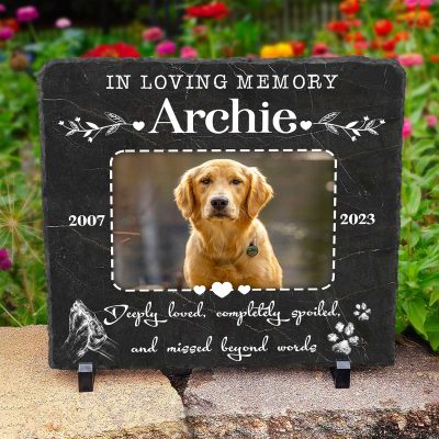 Personalized Pet Photo Memorial Stone, Deeply Loved Memorial Pet Garden Stone, Cemetery Decorations for Grave