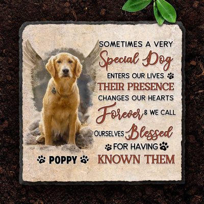 Personalized Pet Memorial Stone Plaque, Sometimes A Very Special Dog Memorial Slate, Dog Loss Gifts