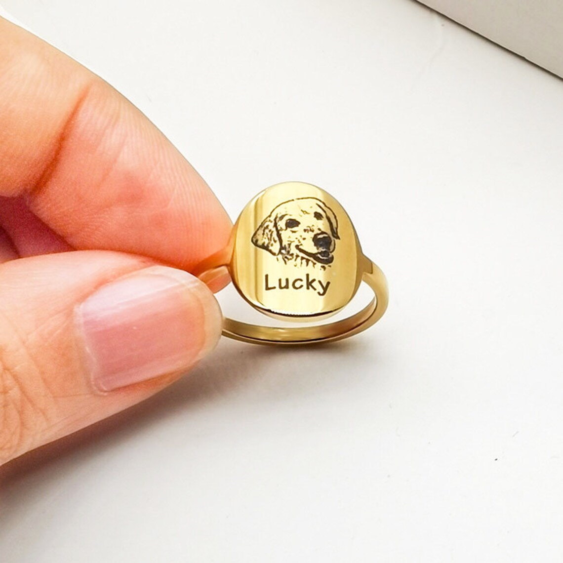 17+ Heartwarming and Unique Dog Memorial Gifts to Honor Your Beloved Pet 11 unique-dog-memorial-gifts