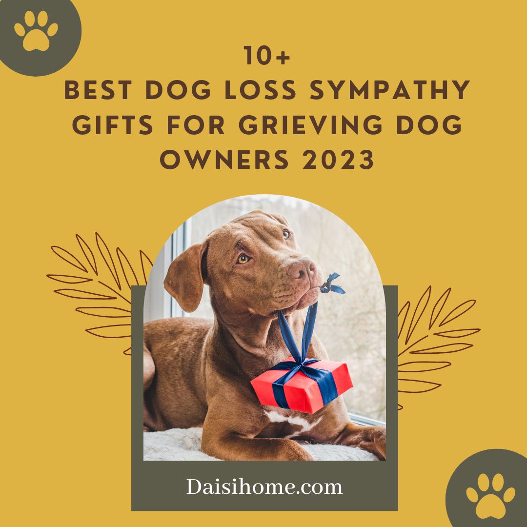 10+ Best Dog Loss Sympathy Gifts for Grieving Dog Owners 2023 1 best-dog-loss-sympathy-gifts