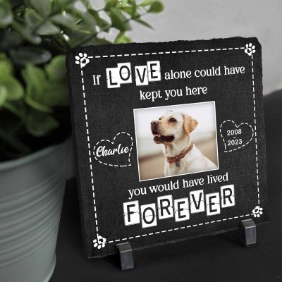 If Love Could Have Saved You Here You Would Have Lived Forever Memorial Stone For A Dog