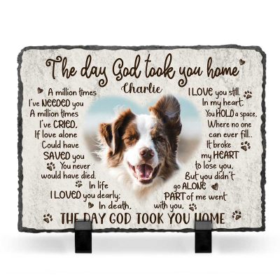 The Day God Took You Home - Personalized Dog Loss Rectangle Photo Slate - Pet Memorial Gifts
