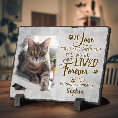 BEST SELLERS 42 If Love Could Have Saved You - Cat Memorial Stone Personalized - Rectangle Rock Slate - In Loving Memory Cat Loss Gifts