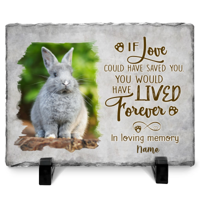 Custom Bunny Memorial Stone - Personalized Bunny Grave Marker - In Memory Of Bunny Gift - If Love Could Have Saved You