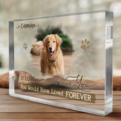 When Tomorrow Starts Without Me - Personalized Dog Remembrance Plaque - Pet Acrylic Photo Block - Pet Memorial Gift - Dog Sympathy Gifts