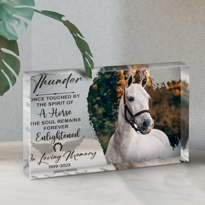 Custom Horse Memorial Acrylic Plaque - Horse Memorial Gift - Horse Photo Memorial Keepsake - Horse Sympathy Gift