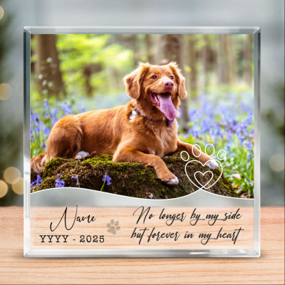 Personalized Pet Memorial Photo Plaque - Custom Photo Pet Memorial Gift - Pet Loss Keepsake - Pet Sympathy Gifts