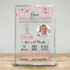 First Birthday Personalized Photo Acrylic Plaque - Memorable 1st Birthday Presents - One Year Old Birthday Gift - 1st Birthday Gifts