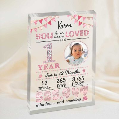 First Birthday Personalized Photo Acrylic Plaque - Memorable 1st Birthday Presents - One Year Old Birthday Gift - 1st Birthday Gifts
