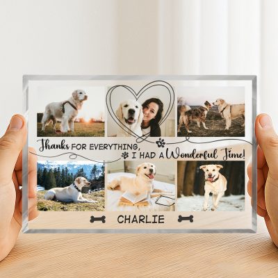 Personalized Acrylic Plaque For Loss Pet, Custom Dog Memorial Gifts, Dog Death Gifts, Unique Gifts For Pet Loss, Pet Fur Keepsake