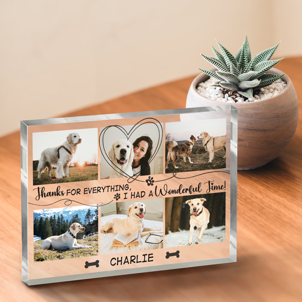 Personalized Acrylic Plaque For Loss Pet, Custom Dog Memorial Gifts, Dog Death Gifts, Unique Gifts For Pet Loss, Pet Fur Keepsake