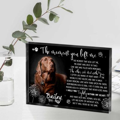 Dog Remembrance Plaque, Personalized Photo Pet Memorial Gift, Pet Loss Keepsake, Pet Memorial Photo Plaque, Pet Memorial Gifts