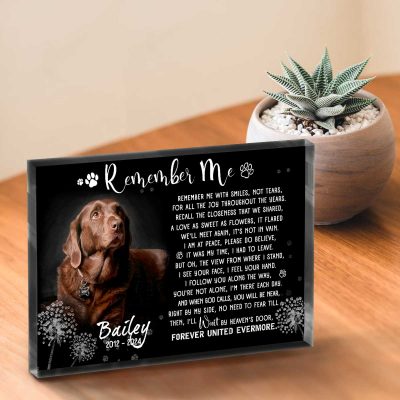 Pet Remembrance Plaque With Photo, Pet Bereavement Gift, Custom Acrylic Photo Gift, Keepsake For Dogs, Pet Loss Memorial Gifts