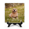 Memorial Photo Plaque for Beloved Pet, In Loving Memory Pet Memorial Gift, Loss Of A Pet Gifts, Pet Bereavement Gift