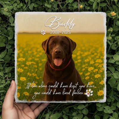 In Loving Memory Pet Memorial Gift, Memorial Photo Plaque for Beloved Pet, Loss Of A Pet Gifts, Pet Bereavement Gift