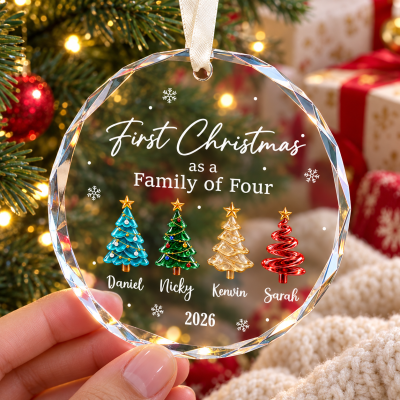 First Christmas as a Family of Four Ornament, Personalized Family of 4 Christmas Ornament, Custom Name Christmas Tree Ornament, New Baby Gift 2026